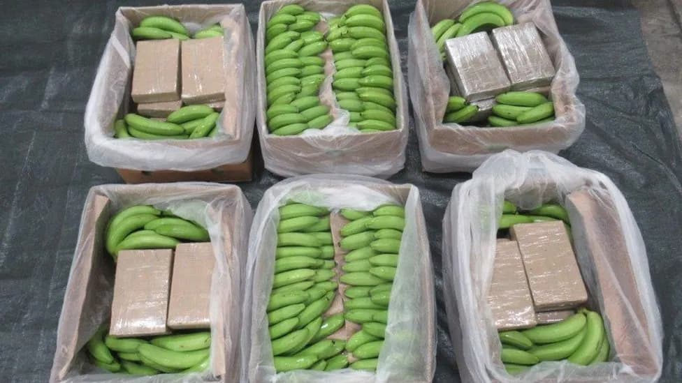 A Record 6 Tonnes Of Cocaine Worth £450m Found Disguised In Cargo of Bananas At Southampton Port