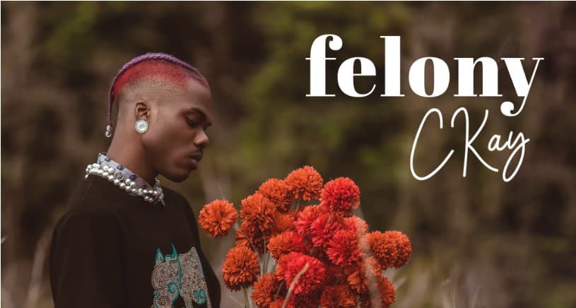 CKay Unveils Brand New Slick Single “Felony”