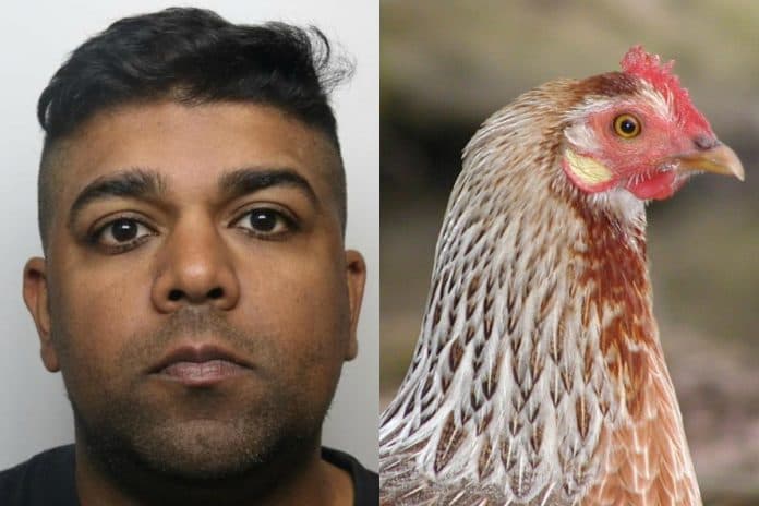 Man Who Had Sex With Chickens While His Wife Filmed Has 3 Year Sentence Cut To 8 months