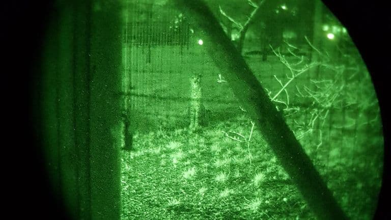 Four Arrested After Armed Police Called To Marwell Zoo Following Report Of Group Who Broke In To Throw Objects At Animals