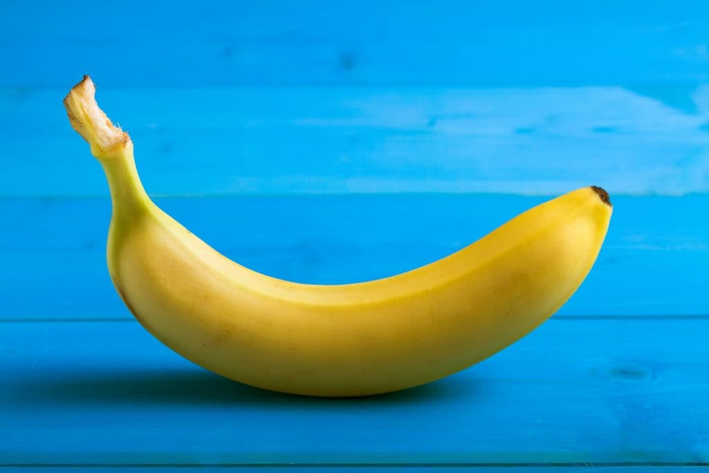 Human penises are shrinking because of pollution, warns scientist