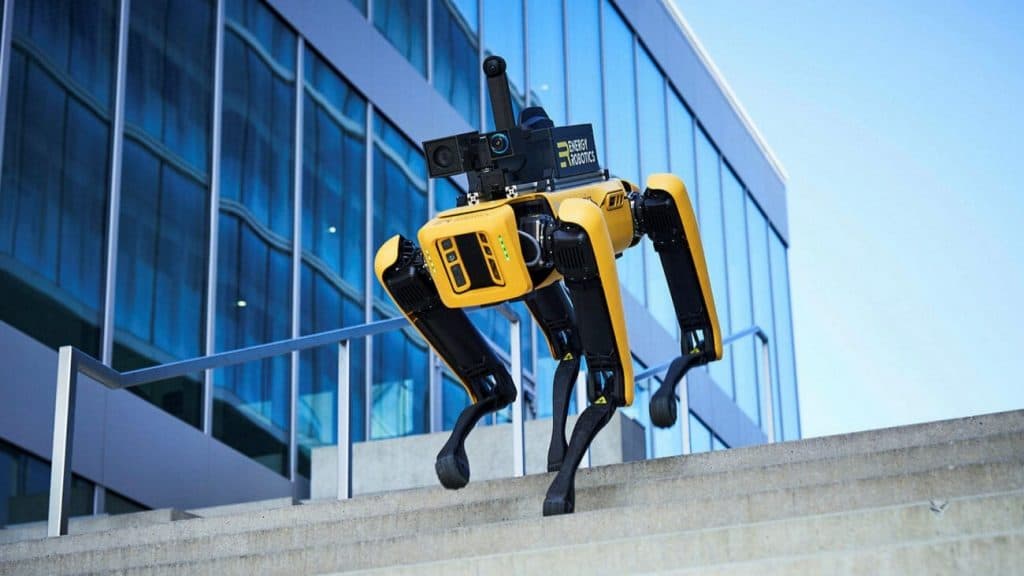 NYPD Criticised for Viral Video of Officers Using Robot Dog