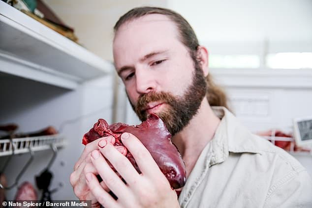 People Are Trying To Get High By Eating Raw, Rotten Meat