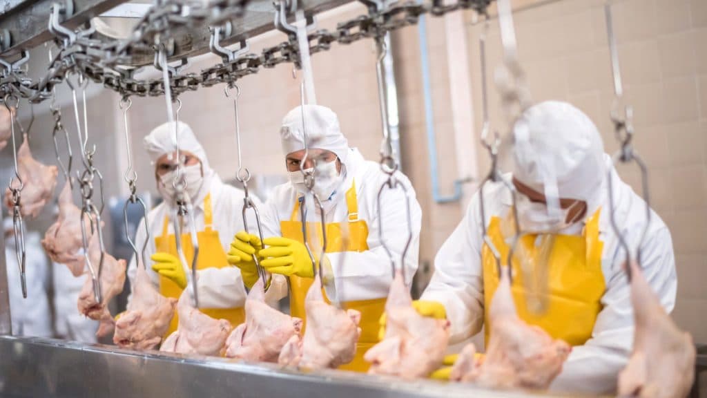 UK Food Firms Beg Ministers To Let Them Use Prisoners To Ease Labour Shortages
