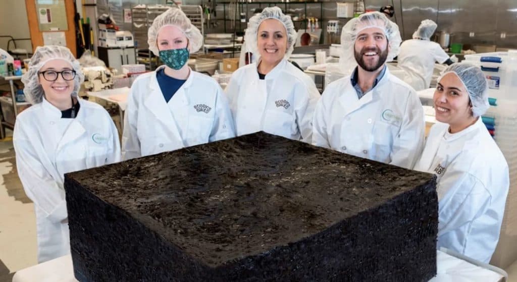 World’s Largest Weed Brownie Goes On Sale