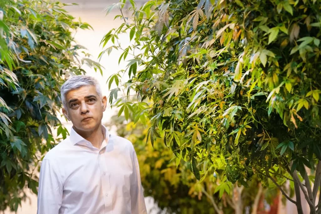 Sadiq Khan Launches ‘London Drugs Commission’ To Look Into Legalising Cannabis
