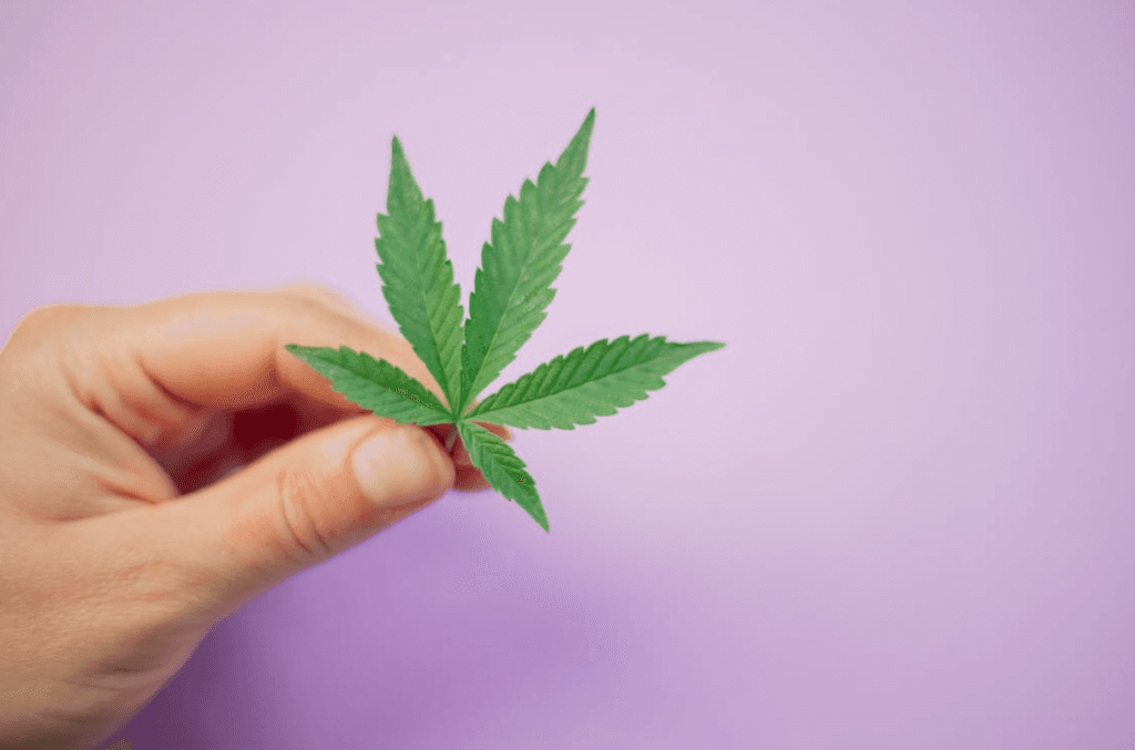Conservatives Reportedly Open To Making Weed A Class-A Drug